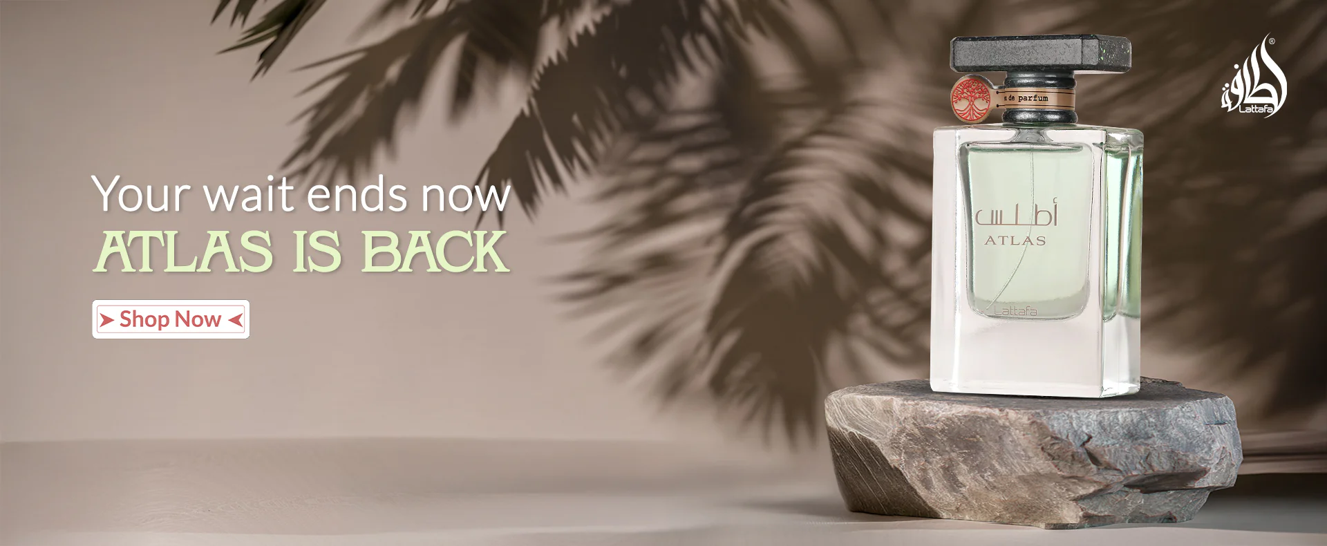 Exquisite Fragrances, Timeless Elegance